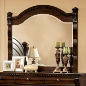 Burleigh Mirror CM7791M By Furniture of America
