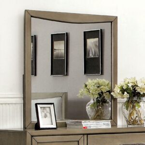 Snyder Mirror CM7782M By Furniture of America