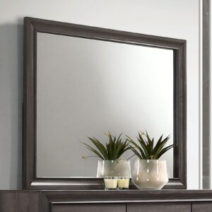 Chrissy Mirror CM7552GY-M By Furniture of America