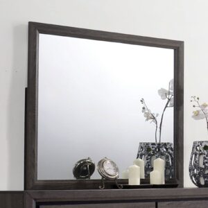 Conwy Mirror CM7549M By Furniture of America