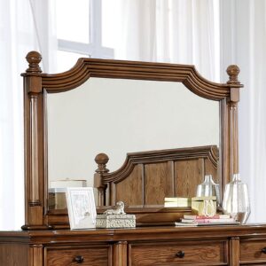 Mantador Mirror CM7542M By Furniture of America