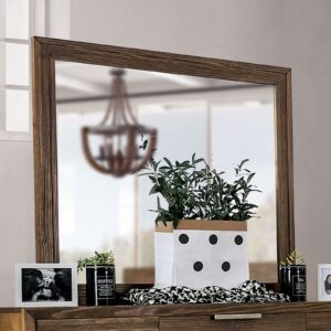 Tolna Mirror CM7532M By Furniture of America