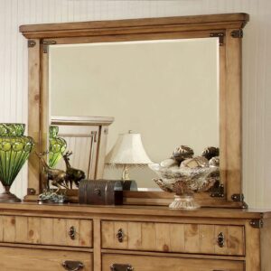 Pioneer Mirror CM7449M By Furniture of America