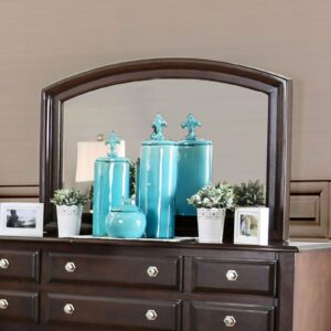 Litchville Mirror CM7383M By Furniture of America