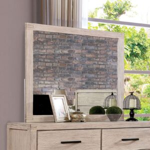 Strasburg Mirror CM7382WH-M By Furniture of America