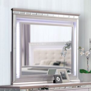 Claudette Mirror CM7972M By Furniture of America