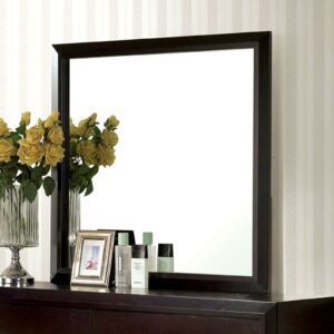 Janine Mirror CM7868M By Furniture of America