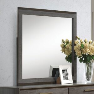 Manvel Mirror CM7867M By Furniture of America