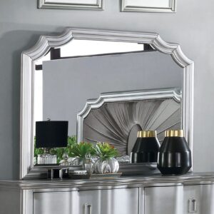 Aalok Mirror CM7864M By Furniture of America