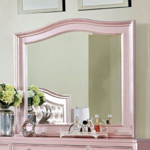 Ariston Mirror CM7171RG-M By Furniture of America