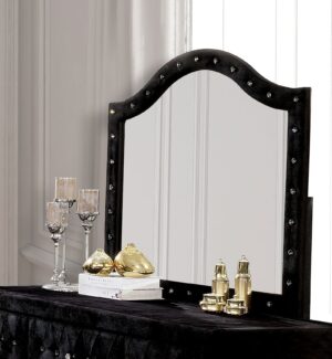 Alzire Mirror CM7150BK-M By Furniture of America