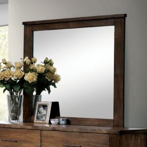 Elkton Mirror CM7072M By Furniture of America