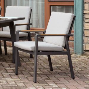 Alycia Arm Chair CM-OT2141AC-6PK By Furniture of America