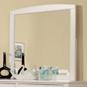 Omnus  Mirror CM7905WH-M BY Furniture of America