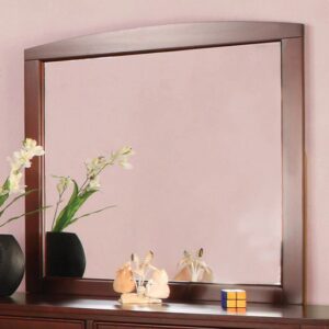 Omnus Mirror CM7905CH-M BY Furniture of America