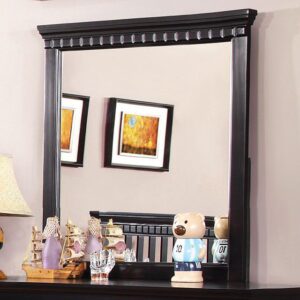 Caspian Mirror CM7920BK-M BY Furniture of America