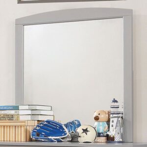 Caren Mirror CM7905GY-M BY Furniture of America