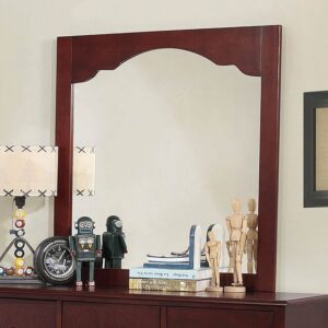 Diane Mirror CM7158CH-M BY Furniture of America