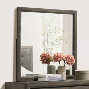 Roanne Mirror FOA7927M BY Furniture of America