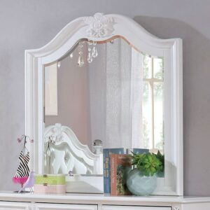 Belva Mirror CM7174M BY Furniture of America