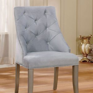Diocles Side Chair (2/Box) CM3020SC-2PK BY Furniture of America