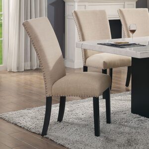 Kian Side Chair (2/Ctn) CM3744BG-SC-2PK BY Furniture of America