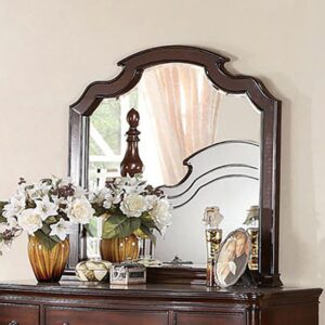 Devonshire Mirror CM7265M By Furniture of America