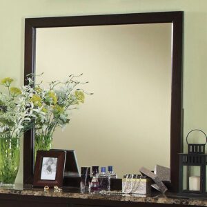 Lemoore Mirror CM7531M By Furniture of America