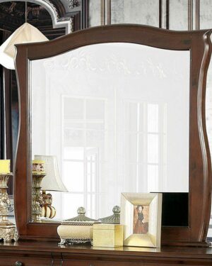 Brunswick Mirror CM7503M By Furniture of America