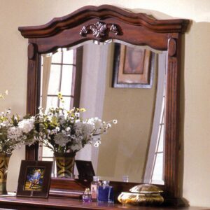 Lewisburg Mirror CM7721M By Furniture of America