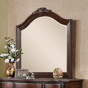 Monte Vista Mirror CM7267M By Furniture of America