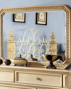 Waldenburg Mirror CM7810M By Furniture of America