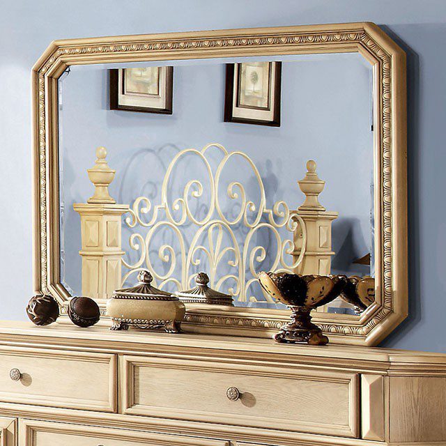 Waldenburg Mirror CM7810M By Furniture of America