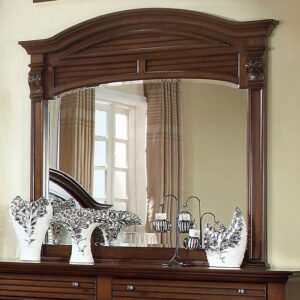 Darius Mirror CM7366M By Furniture of America