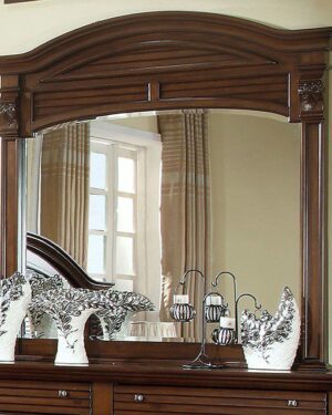 Darius Mirror CM7366M By Furniture of America