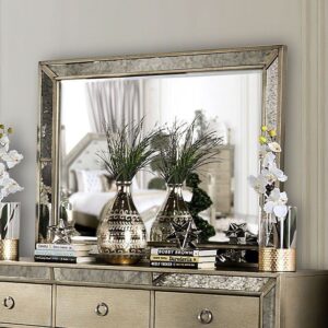 Loraine Mirror CM7195M By Furniture of America