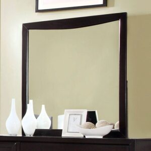 Snyder Mirror CM7792EX-M By Furniture of America