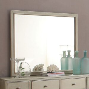 Enid Mirror CM7430M By Furniture of America