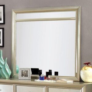 Briella Mirror CM7101M By Furniture of America