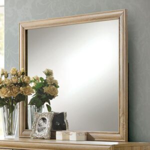 Renee Mirror CM7660M By Furniture of America