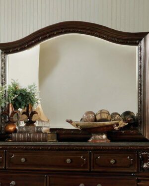 Fort Worth Mirror CM7858M By Furniture of America