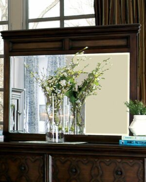 Minerva Mirror CM7839M By Furniture of America