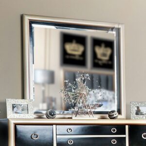Braunfels Mirror CM7263M By Furniture of America