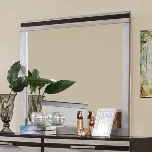 Euclid Mirror CM7206M By Furniture of America