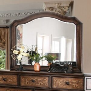 Emmaline Mirror CM7831M By Furniture of America