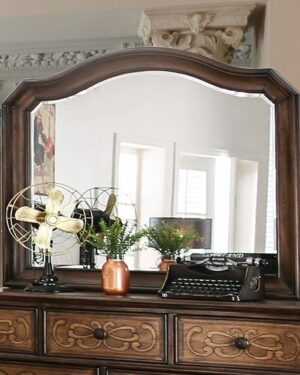 Emmaline Mirror CM7831M By Furniture of America