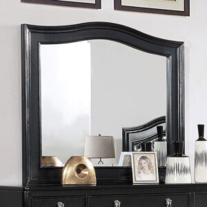 Ariston Mirror CM7171BK-M By Furniture of America