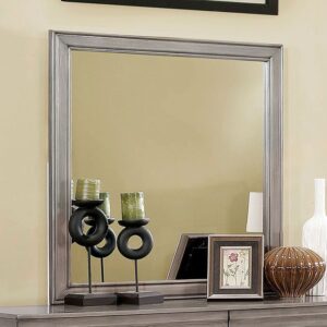 Eugenia Mirror CM7598GY-M By Furniture of America