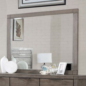 Asterope Mirror CM7861M By Furniture of America