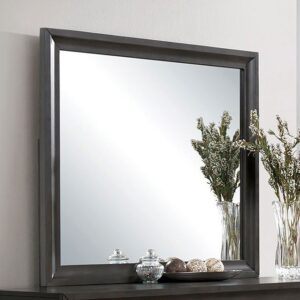 Clotilde Mirror CM7553M By Furniture of America